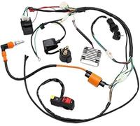 DEMULAX Complete Electrics Wiring Harness Loom Coil Accessory Part | Suitable, for ATV, for QUAD 150200250300CC