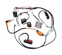 DEMULAX Complete Electrics Wiring Harness Loom Coil Accessory Part | Suitable, for ATV QUAD 150200250300CC