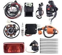 DEMULAX Complete Electrics Wiring Harness Stator Coil Solenoid Relay | Spark Plug Tail Light, for 4 Wheelers Stroke ATV （150cc 200cc 250cc 300cc
