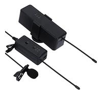 Denash CLAMP/HOLDOR MICROPHONE WIRELY PROFESSIONAL CUEL FOR THE LIVE RECORDING OF THE INTERVIEW, HIGH FIDELITY Sound Sound FOR THE Mini SLR Camera Transmission, Suitable FOR Musicians and Vloggers