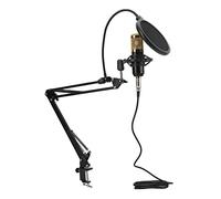 Denash Condensator Microfon Professional Studio Mic Mater Mater Kit with Transmission Class and Spring Class for Podcasts, Voices, Steel Alloy/zinc Alloy/zinc