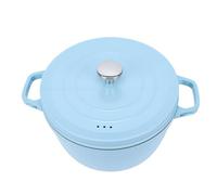 Denash Enameled Cast Iron Pot, 9.4 Inch Dual Handles