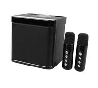 Denash Karaoke Speakers with 2 Microphones A Long Battery Life for Family Reunion