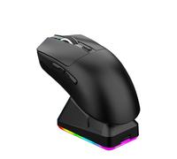 Denash Lightweight 3 Mode Gaming Mouse with Charging Dock, RGB Light, Wired 2.4G BT Connection, Fast Charging Magnetic Base, 7 Buttons, Sticker Decals (Black)
