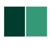 Denash Morandi Photography Grotte Paper Bright Colors Thickened for the Durable Reusable Homemade Study for Photography Enthusiasts (Dark Green Emerald Green)