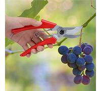 Denash Padraje de Cizallas of Cutting Steel Plants for Garden Pruning Tools with Ergonomic for The Pruning Flowers of Tree Shrubs, Gardening Gardeners.
