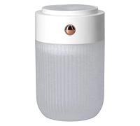Denash Portable Cool Mist Humidifier USB 250mL Ultra Quiet Diffuser with Colorful Night Light for Office Car (White)