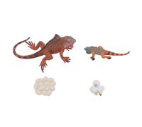 Denash Realistic Iguana Life Cycle Model Set - Lifelike PVC Plastic Toy, Educational Animal Figures for Early Learning, 4-Piece Growth Cycle Model Set