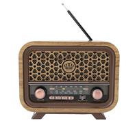 Denash Retro Portable Wireless Speaker, FM SW Radio, Bass Enhancement, MP3 Playback, AUX, 10m Range, Ideal Choice, Classic Vintage Design (Bright Color)