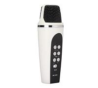 Denash Small Portable Language Changer Microphone for Mobile Phone Computers, Karaoke Sing Microphone with Great Capacity Battery, Professional Handheld for Internet Celebrity Live Broadcast Broadcast