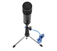 Denash USB Capacity Microphone Portable Microphone Internet Singing Game, Voice Chat and Metal Music Listener