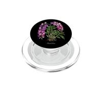 Dendrobium Orchid plant illustration PopSockets PopGrip for MagSafe