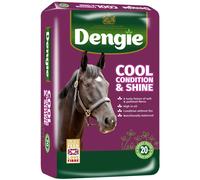 Dengie Horse Feed Cool Condition & Shine - Spearmint Oil Soft Chopped Chaff & Alfalfa Pellets - 20kg