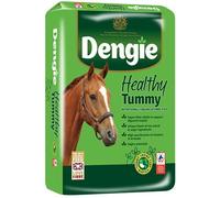Dengie Healthy Tummy Feed for Horses - 20kg