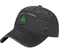 Denim Dad Hat an Appeal to Heaven Outdoor Cap Comfortable Dad Hat Fashion Baseball Cap for Running Travel Camping