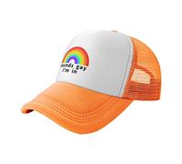 Denim Dad Hat Sounds Gay, I'm in Mesh Dad Hat Unisex Trucker Hat Fashion Baseball Caps for Fishing Travel Camping