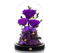 DENIMOMO Valentines Day Flowers Roses Gifts for Women Her,Forever Preserved Rose in Glass Dome, Valentines Anniversary Birthday Real Roses Gifts for Wife Women Girlfriend Best Friend/Purple