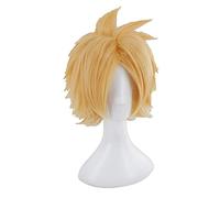 Denki Kaminari Anime Cosplay Wig Cosplay Hair Denki Kaminari Anime Wigs