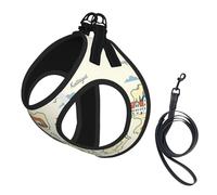 Denmark Map With Various Print Small Dog Harness And Leash Set, Adjustable Soft Vest With 360° Reflective Straps For Cats Puppy