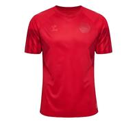 Denmark Men's Personalised 2022 2023 Home Jersey in Red | Size: 2XL Denmark Red 2XL