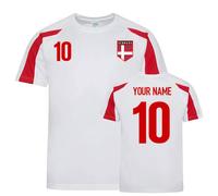 Denmark Men's Personalised Sports Training Jersey Your Name | Size: Large Denmark Multicolor L