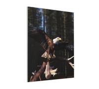 DENMER 3D Bald Eagle Printed Solid Wood Frame Canvas Wall Art 20x25 CM - Handmade Framing Square Wall Decor for Bedroom, Living Room, Office
