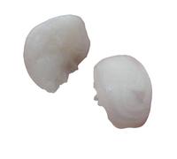 DENMOUS Divinity Natural Machh Mani Sea Stone - Reduces And Removes Rahu Impact. (Meen Mukta, Fish Stone, Fish Pearl)-B0CBX87X-DNM