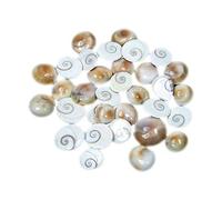 DENMOUS Gomti Chakra 50 Piece For Laxmi Pujan Diwali-B09CMQ31DD