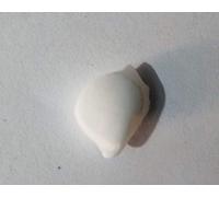 DENMOUS Machh Mani/White Stone Pearl For Prosperity, Control Bad Effect, Happy Life, Success By Go-Yam Mer-Chan-Do-B08XBH2JM1