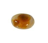 DENMOUS Natural Nazar Malocchio Tibetan 3 Eye Dzi Bead Lumik Semi Precious Gemstone 16.9Ct-B08SJWRB-M1