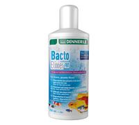 Dennerle Bacto Elixier FB7 Healthy Aquarium Fish Tank Reduce Ammonia Nitrite