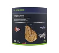 Catappa Leaves - Large - Trusted Brand Hygienic Shrimp & Aquarium Safe