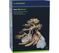 Dennerle Decor Box Bonsai - 1 Pc