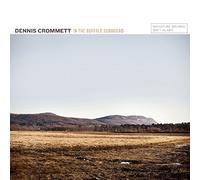 Dennis Crommett - In The Buffalo Surro