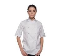 Dennys Womens/ladies Lightweight Short Sleeve Chefs Jacket / Chefswear (Pack Of 2)