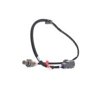 Lambda Sensor fits SUBARU LEGACY BL9, BP9 2.5 Post Cat 03 to 08 EJ25 Oxygen New
