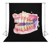 Dental Anatomy Art Print Classic Photography Backdrops Photoshoot Backdrop Background Easter Halloween Birthday Party