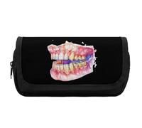 Dental Anatomy Art Print Cute Double Pencil Case Large Capacity Portable Zippered Pen Pouch Bag for Office Unisex