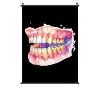 Dental Anatomy Art Print Printed Poster Hanger Lightweight Poster Hangs A Picture Wall Art Vertical Artwork
