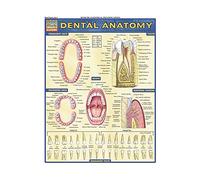 Dental Anatomy (Quick Study Academic)