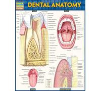 Dental Anatomy (Quick Study Academic)