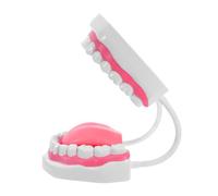 Dental and Oral Teaching Model with Roots for Brushing Practice | Plastic PVC White Finish, Smooth Washable Surface, Portable Study Aid for Classrooms and Home Oral Care