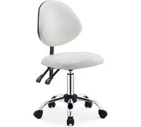 Dental Assistant Chair Ergonomic Swivel Stool, Stool with Adjustable Backrest and Height for Studio Classroom Lab Counter, Medical(Style 4)