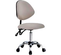 Dental Assistant Chair Ergonomic Swivel Stool, Stool with Adjustable Backrest and Height for Studio Classroom Lab Counter, Medical(Style 1)
