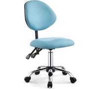 Dental Assistant Chair Ergonomic Swivel Stool, Stool with Adjustable Backrest and Height for Studio Classroom Lab Counter, Medical(Style 2)