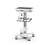 Dental Clinic Trolley Cart with Oral Scanner Holder and Equipment Pallet,Hospital Mobile Workstation with Laptop Tray and Silent Wheels, for Office School Salon Lab etc.