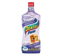 Dental Fresh Advanced Plaque and Tartar 32oz
