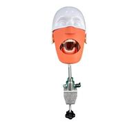 Dental Manikin Head Simulator Dental Phantom Head Model with Bench Mount for Dentists and Dental Assistants Practical Demonstration A
