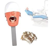 Dental Manikin Phantom Head Simulation Dental Oral Teaching Systems Dental Teeth Model for Dentists Teaching Practice Training A