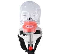Dental Manikin Simulator Phantom Head Mannequin Head with Detachable Teeth, Bandage Installation 28/32 Teeth (32PCS)